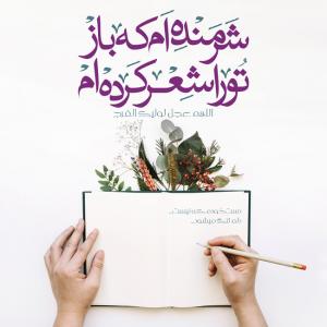  اللهم عجل لولیک الفرج: دست خودم که نیست دلم تنگ میشه (پوستر)